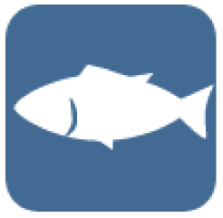 mackerel (esp. the chub mackerel, Scomber japonicus)